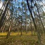 Hotel Park Rekreacyjno-biznesowy Woda Wilga