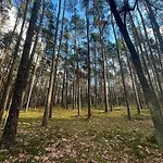 Park Rekreacyjno-biznesowy Woda 4* Wilga