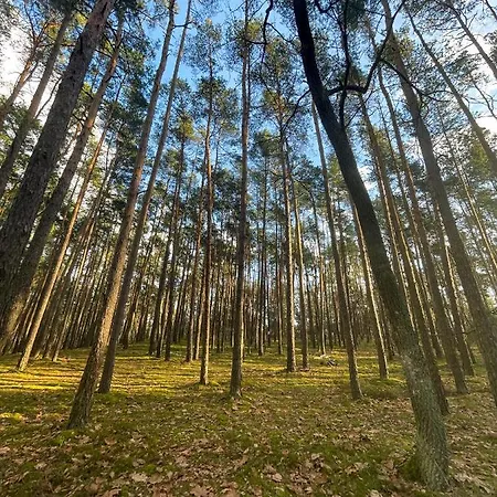 Ξενοδοχείο Park Rekreacyjno-biznesowy Woda Wilga