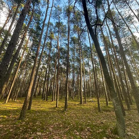 Ξενοδοχείο Park Rekreacyjno-biznesowy Woda Wilga