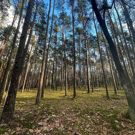 Park Rekreacyjno-biznesowy Woda 4* Wilga
