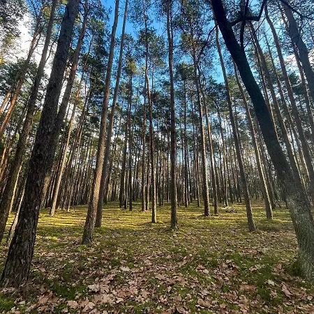 Park Rekreacyjno-biznesowy Woda 4* Wilga