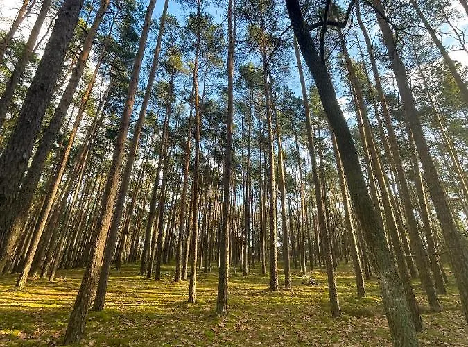 Отель Park Rekreacyjno-biznesowy Woda Вильга