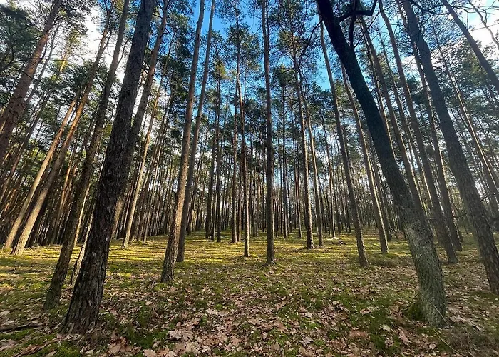 Park Rekreacyjno-biznesowy Woda 4* Wilga