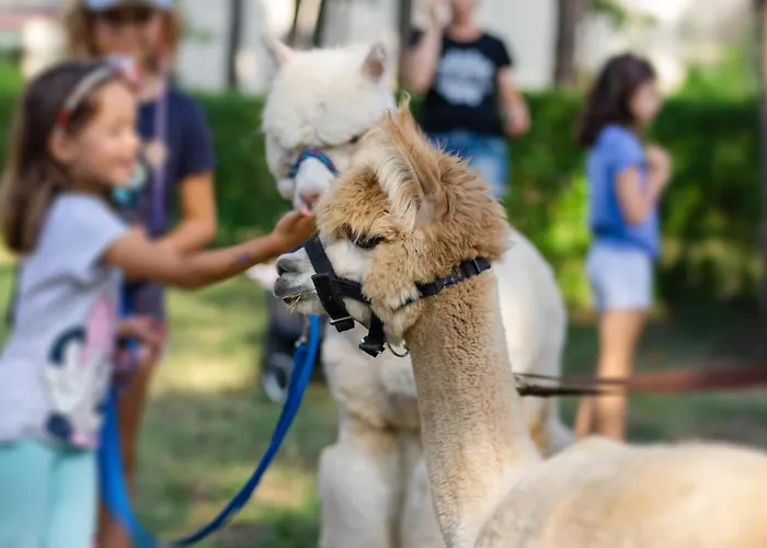 Park Rekreacyjno-biznesowy Woda Отель