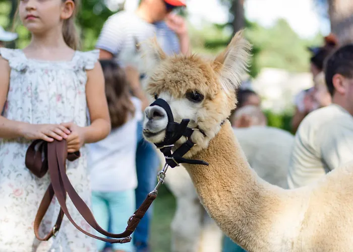 Park Rekreacyjno-biznesowy Woda 4*